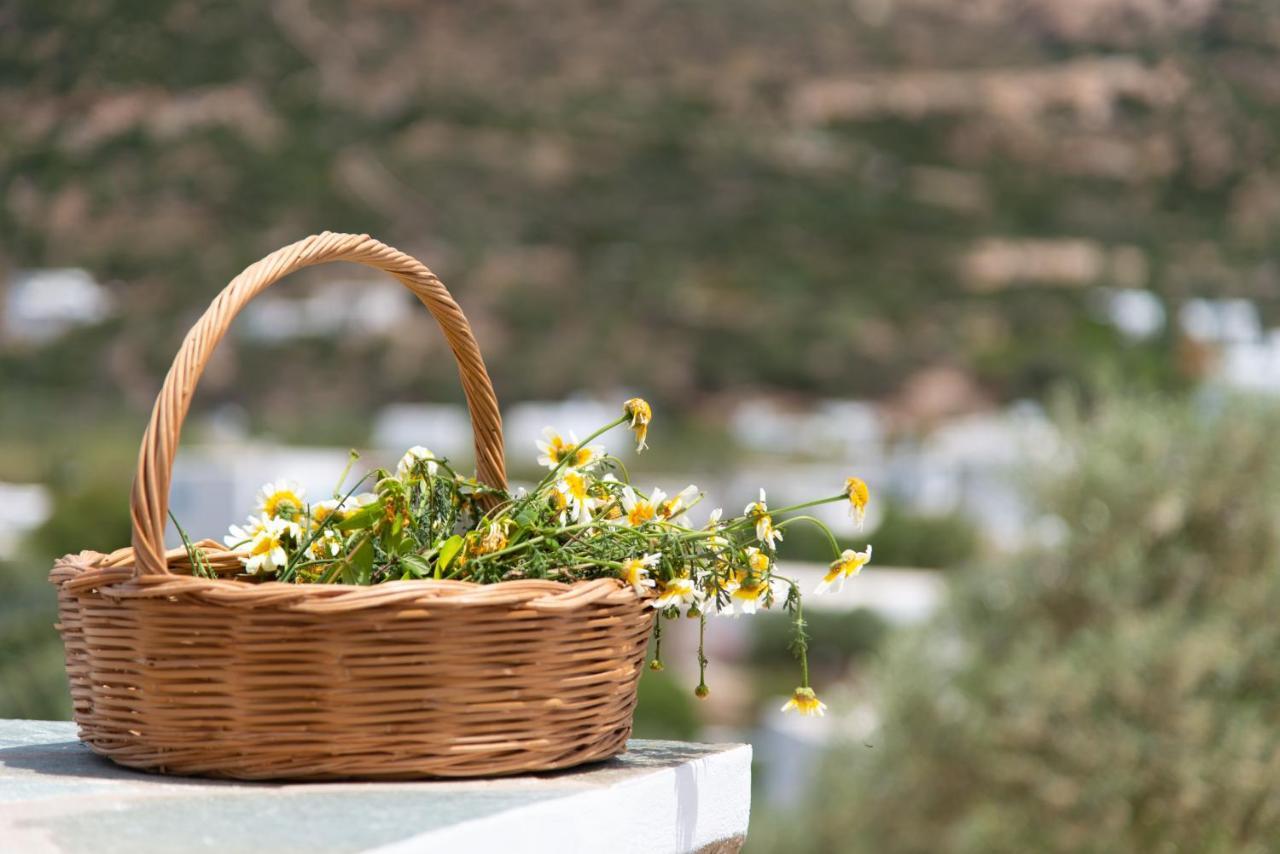Thimari Villas Βαθύ Εξωτερικό φωτογραφία